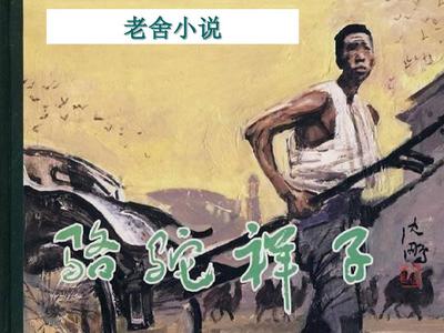 蘑菇网页版视频